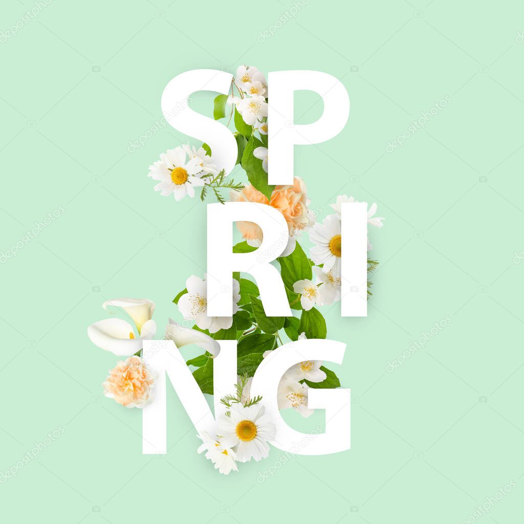 Word SPRING and beautiful flowers on light green background