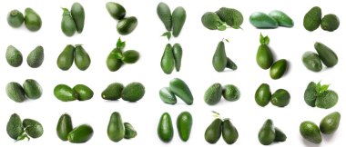 Set of fresh avocado isolated on white