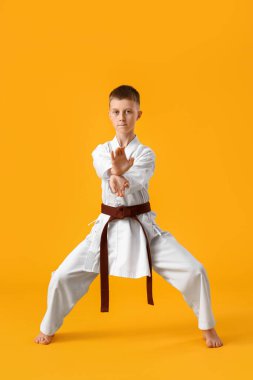 Çocuk sarı arka planda karate yapıyor.
