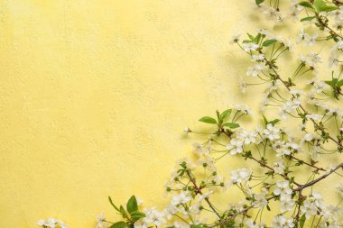Sarı arka planda güzel açan bahar dalları, üst manzara