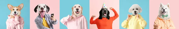 Set People Dogs Heads Colorful Background — Photo