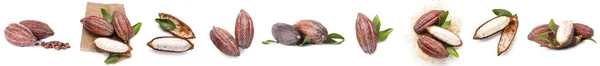 Conjunto Frutas Frescas Cacao Aisladas Blanco —  Fotos de Stock