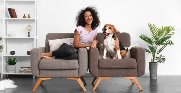 Belle Femme Afro Américaine Avec Chien Mignon — Photo