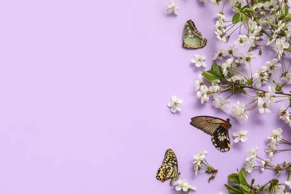 Blooming Spring Branches Butterflies Lilac Background — Foto Stock