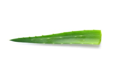 aloe vera taze yaprak beyaz zemin üzerine