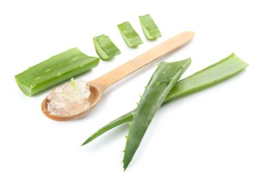 Fresh cut aloe plant leaves and wooden spoon with gel on white background