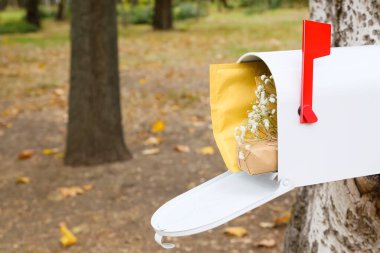 Sonbahar parkında mektup, hediye ve çiçeklerle dolu eski bir posta kutusu.