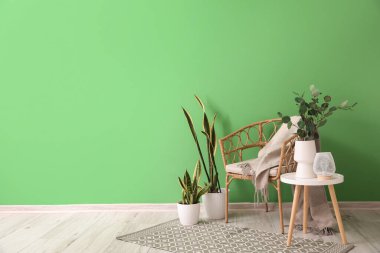 Vazoda okaliptüslü masa, lamba, koltuk ve yeşil duvarın yanındaki bitkiler.