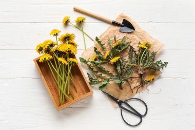 Beyaz ahşap zemin üzerinde sarı karahindiba, parşömen kağıdı, kürek ve makas