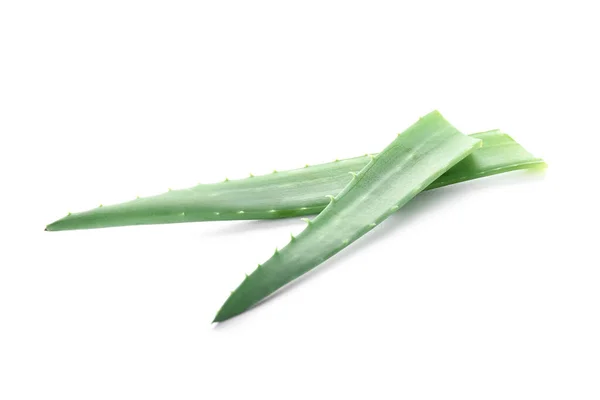 Świeże Liście Aloesu Białym Tle — Zdjęcie stockowe