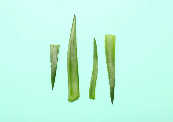 Fresh Cut Aloe Vera Leaves Color Background — 스톡 사진