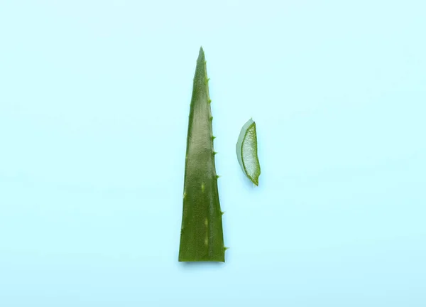 Pieces Fresh Cut Aloe Plant Leaves Color Background — 스톡 사진
