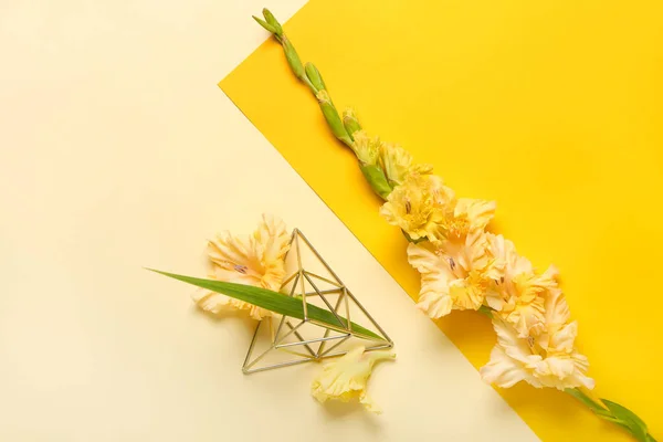 Sammansã Ttning Med Vackra Gladiolus Blommor Bakgrund — Stockfoto