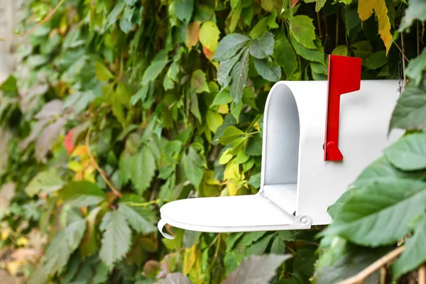 Vintage Mailbox Green Leaves Outdoors — Stockfoto
