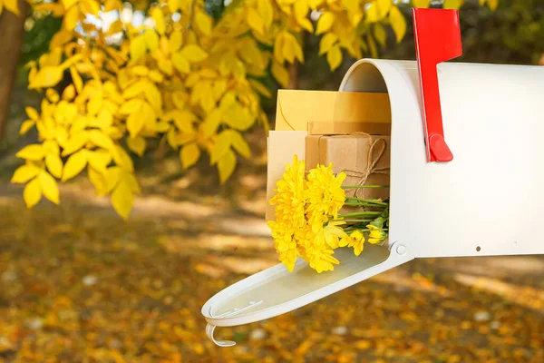 Mailbox Beautiful Flowers Gift Envelopes Autumn Park — ストック写真