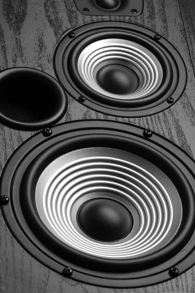 Closeup View Modern Loudspeaker —  Fotos de Stock