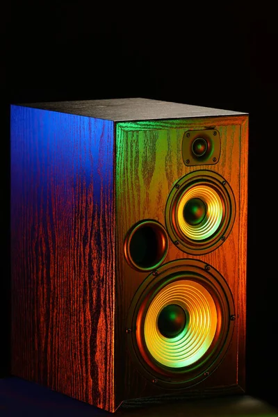Modern Loudspeaker Black Background —  Fotos de Stock