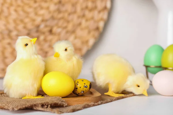 Милі Кури Великодні Яйця Світлому Столі — стокове фото