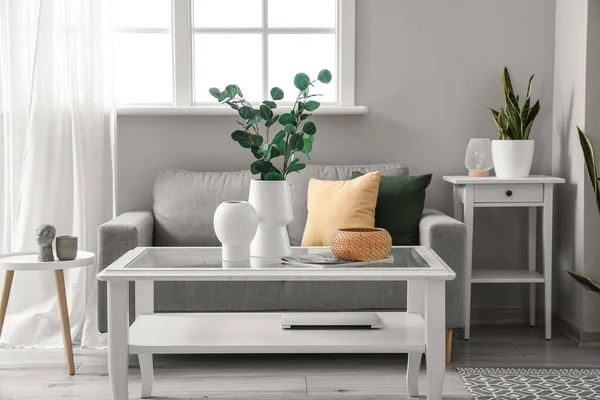 Interior Light Living Room Sofa Houseplants Vases Eucalyptus — Stock Photo, Image