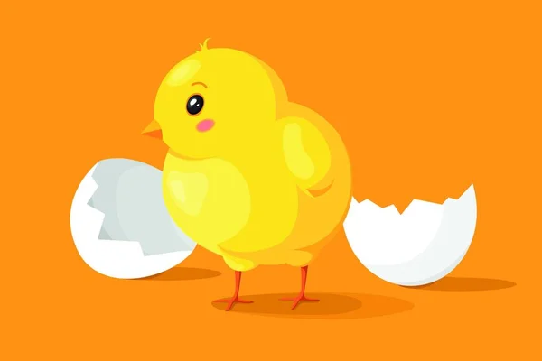 Little Chick Came Out Egg — Archivo Imágenes Vectoriales