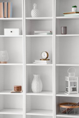 Kitaplı ve şık dekorlu raf ünitesi