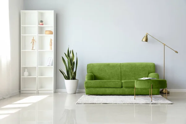 Interior Light Living Room Green Sofa Shelving Unit Houseplant —  Fotos de Stock