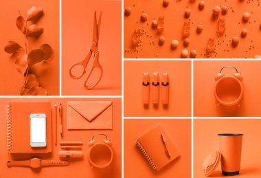 Turuncu renkli fotoğrafların kolajı