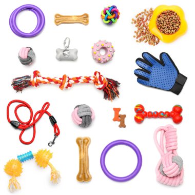 Beyaz arkaplanda farklı evcil hayvan aksesuarları