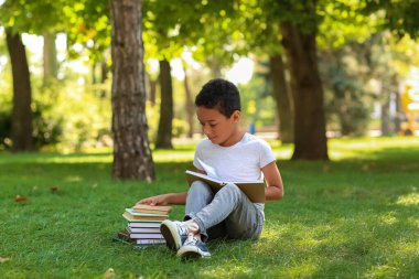 Kitapları parktaki çimlerin üzerinde oturan küçük Afro-Amerikalı çocuk.