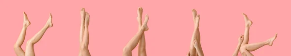 Set Beautiful Female Legs Pink Background — Stockfoto