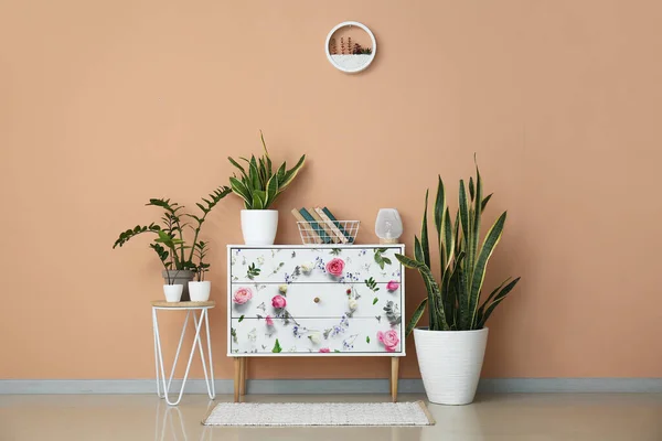 Stylish Chest Drawers Houseplants Color Wall Room — стоковое фото