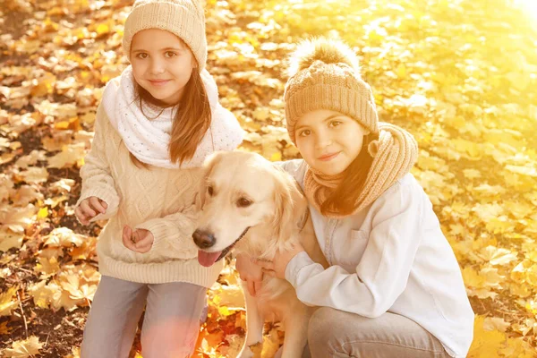 Niñas Con Lindo Perro Parque Otoño —  Fotos de Stock