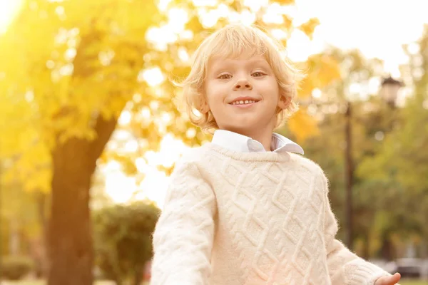 Cute Funny Boy Autumn Park — Foto de Stock