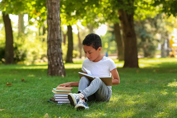 Kleiner Afroamerikanischer Junge Mit Büchern Sitzt Auf Gras Park — Stockfoto