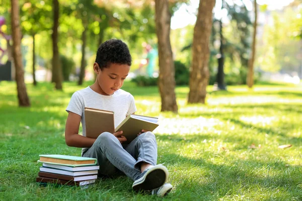 Little African American Boy Books Sitting Grass Park — Stock Photo, Image