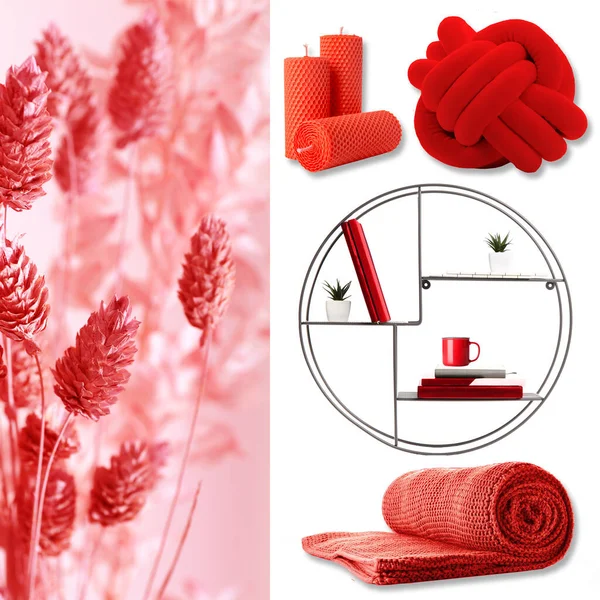 Different Stylish Decor Red Colors Interior Room White Background — 스톡 사진