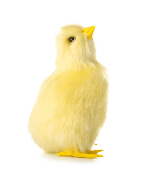 Cute Yellow Chicken Isolated White — Stock Photo, Image