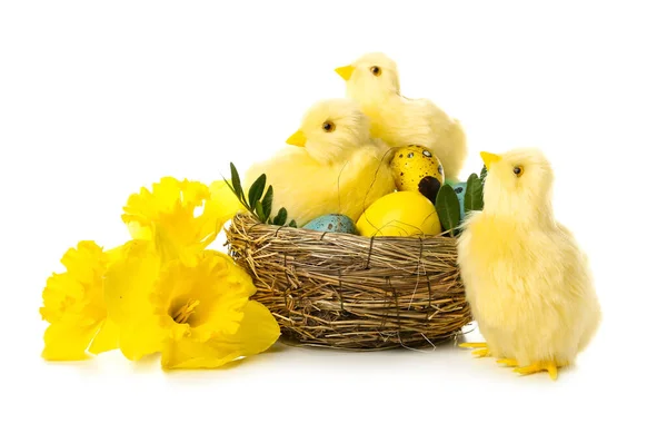 Квіти Милі Жовті Кури Великодні Яйця Гнізді Білому Тлі — стокове фото
