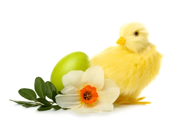 Cute Yellow Chicken Flower Easter Egg White Background — Fotografia de Stock