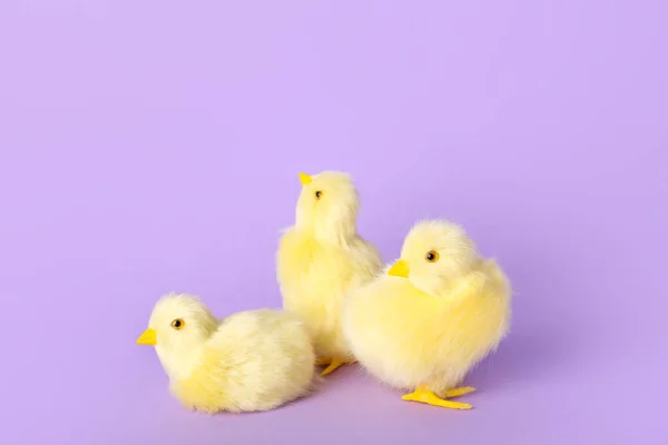 Cute Yellow Chickens Lilac Background — Stok fotoğraf