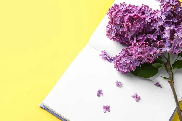 Purple Lilac Flowers Book Yellow Background — Stok fotoğraf