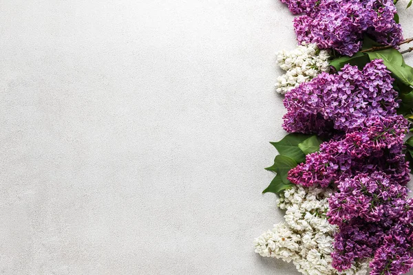 Beautiful Lilac Flowers Light Background Top View — Stock Photo, Image