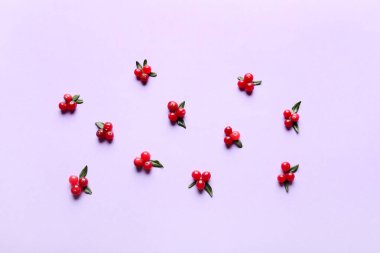 Leylak kaplamalı kırmızı yaban mersini.