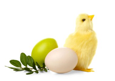 Cute yellow chicken and Easter eggs on white background