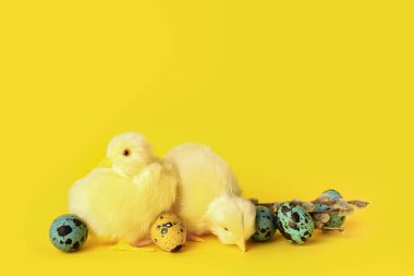 Cute chickens, pussy willow branches and Easter eggs on yellow background