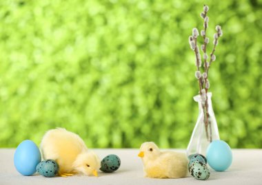 Cute chickens, Easter eggs and pussy willow branches on table outdoors