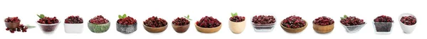 Set Bowls Dried Cranberries White Background — Fotografia de Stock