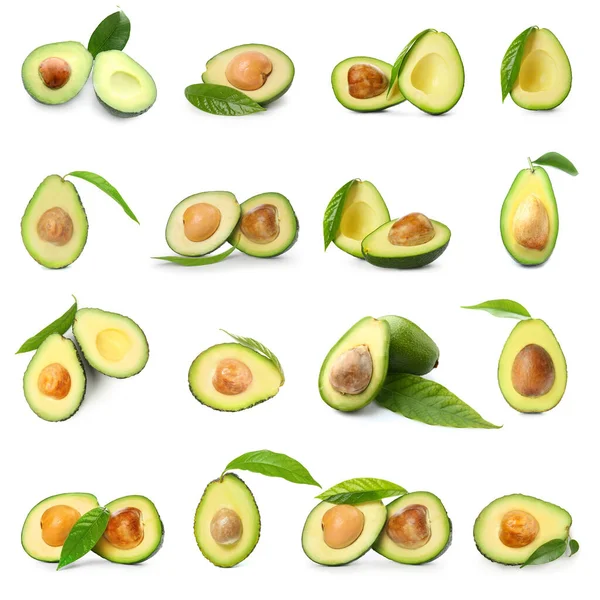 Vele Helften Verse Avocado Geïsoleerd Wit — Stockfoto