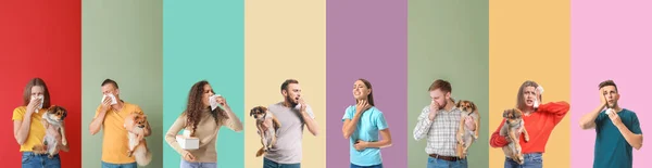 Set Different People Suffering Allergic Reactions Color Background — Stok fotoğraf