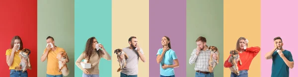 Set Different People Suffering Allergic Reactions Color Background —  Fotos de Stock